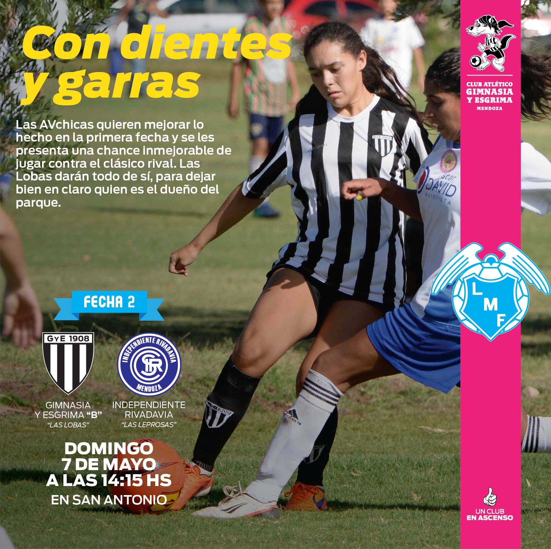 Banner Futbol Femenino LMF F2 7-05-17-01